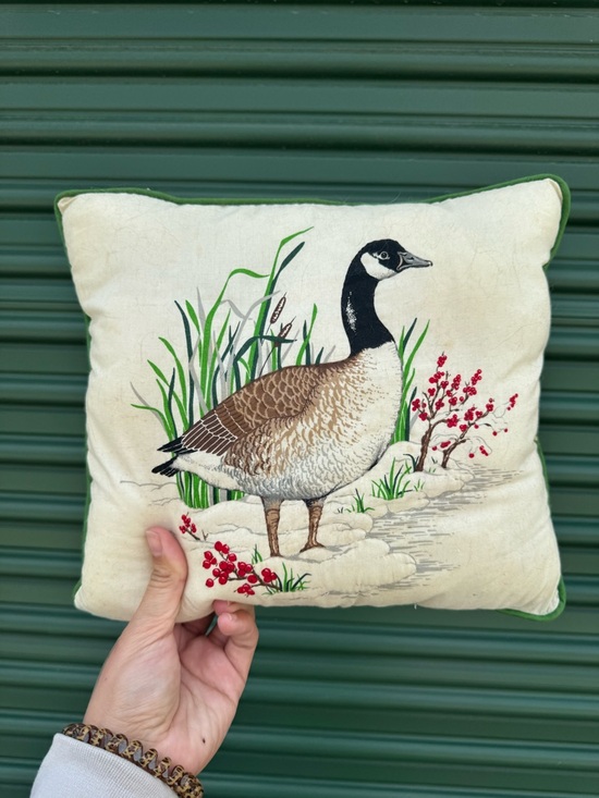 Other - Vintage duck Embroidered Throw Pillow - Cream and Green